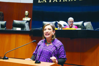 xochit-galvez-habria-solicitado-regresar-al-senado